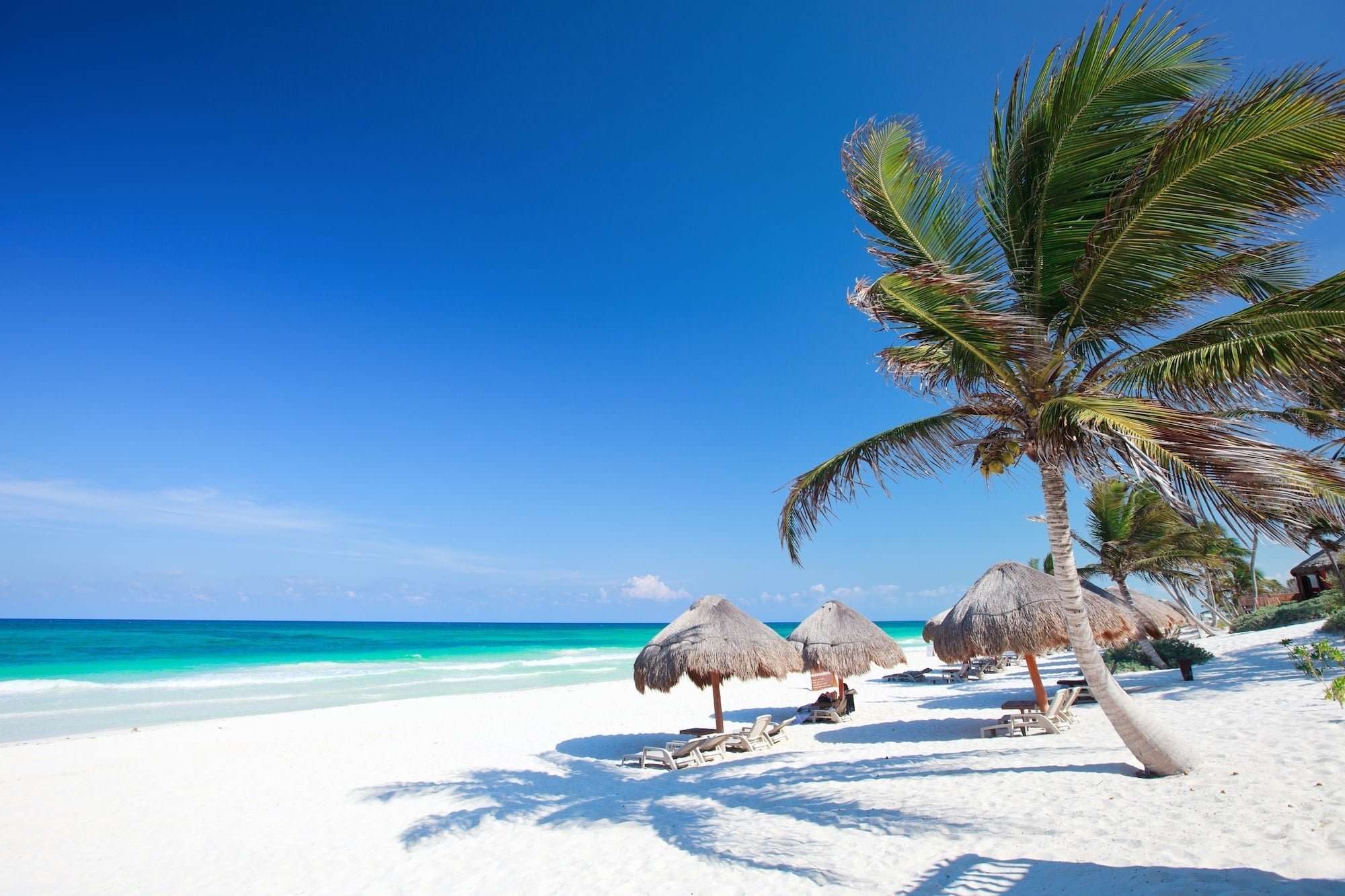 The Hidden Gem Between Tulum and Playa Del Carmen: A Complete Traveler's Guide to Akumal 10 Beautiful Caribbean beach