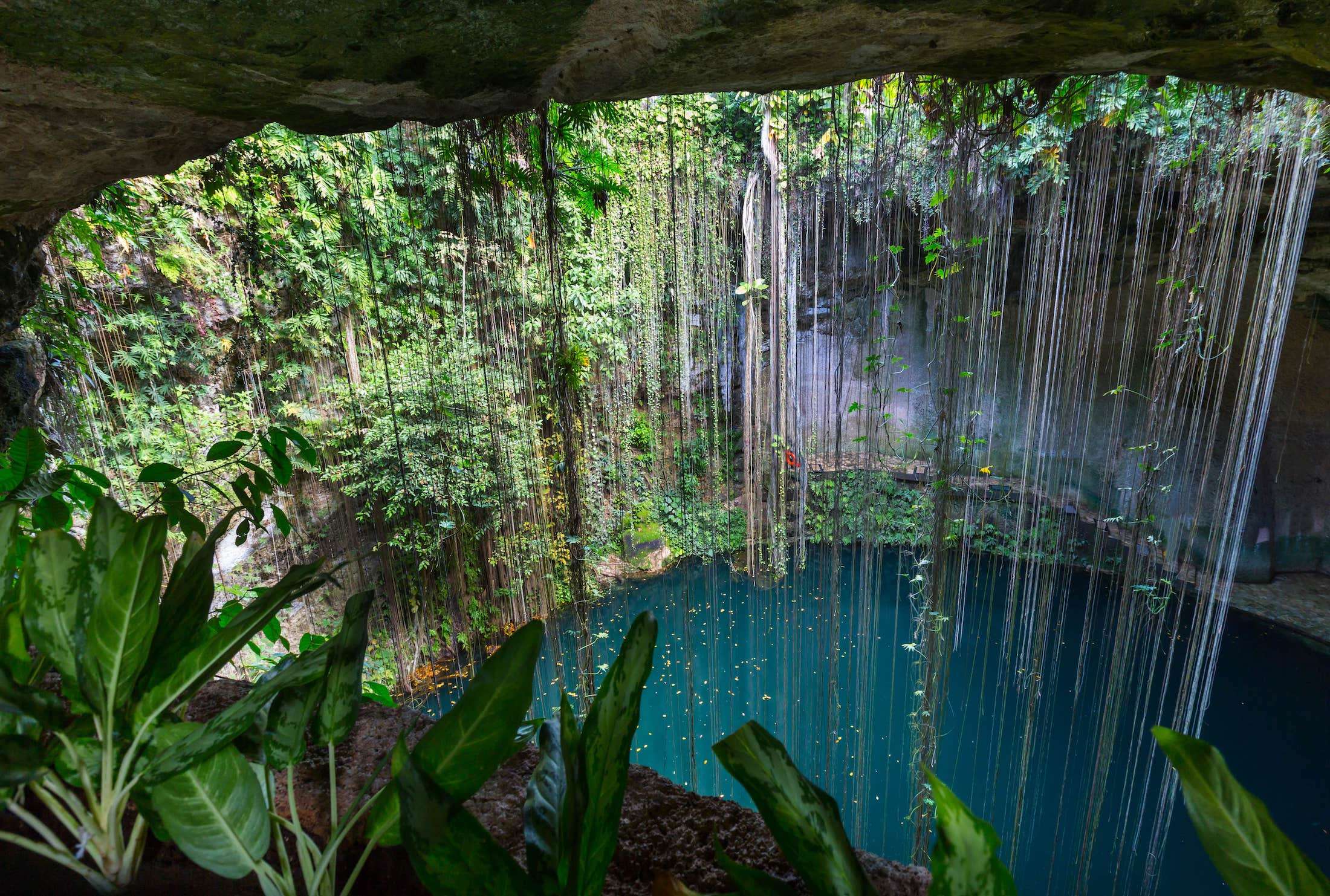 The Hidden Gem Between Tulum and Playa Del Carmen: A Complete Traveler's Guide to Akumal 9 Cenote Ik kil in Mexico