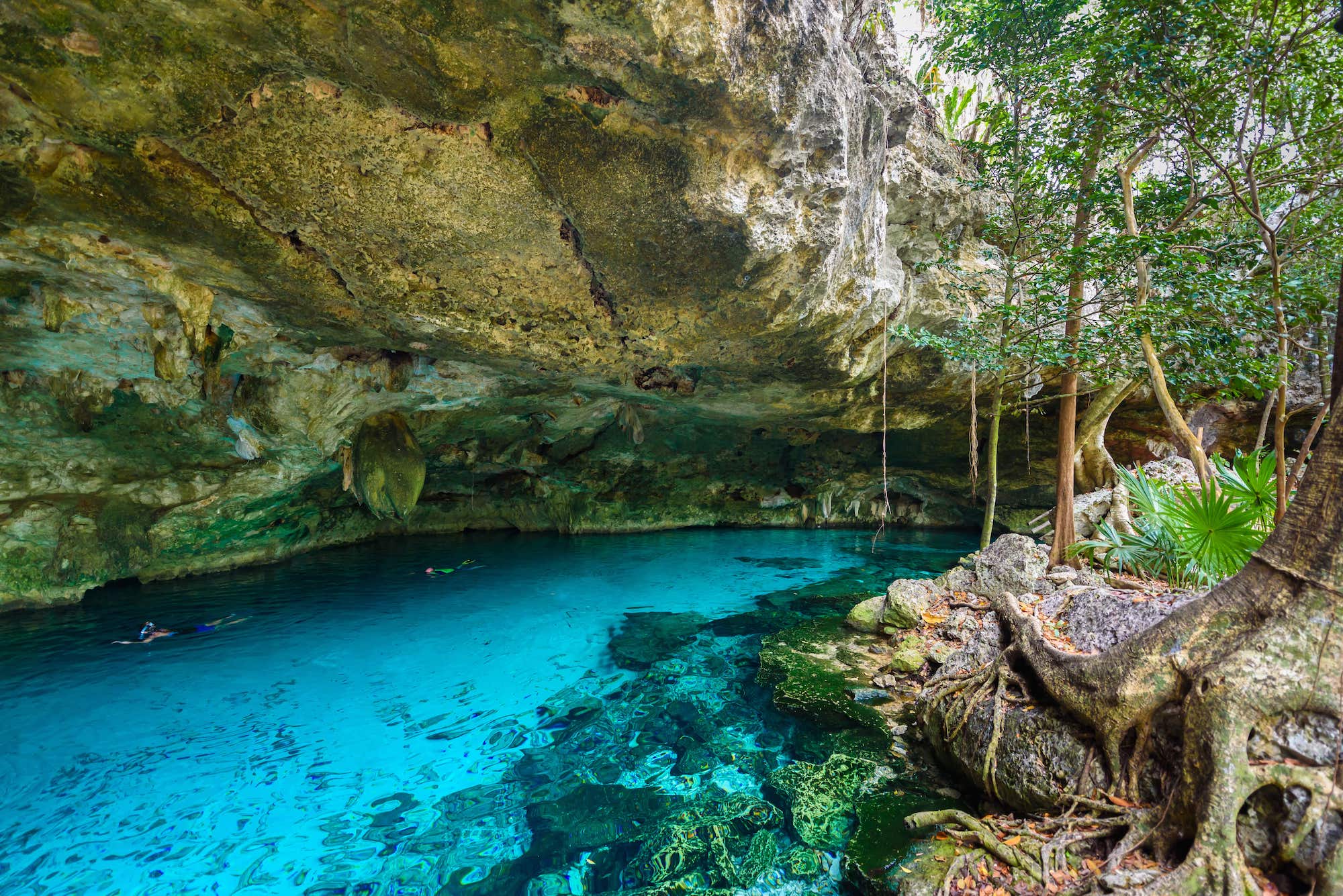 Planning Your Getaway: The Best Guide to Traveling in Playa del Carmen 4 Cenote in Mexico 2