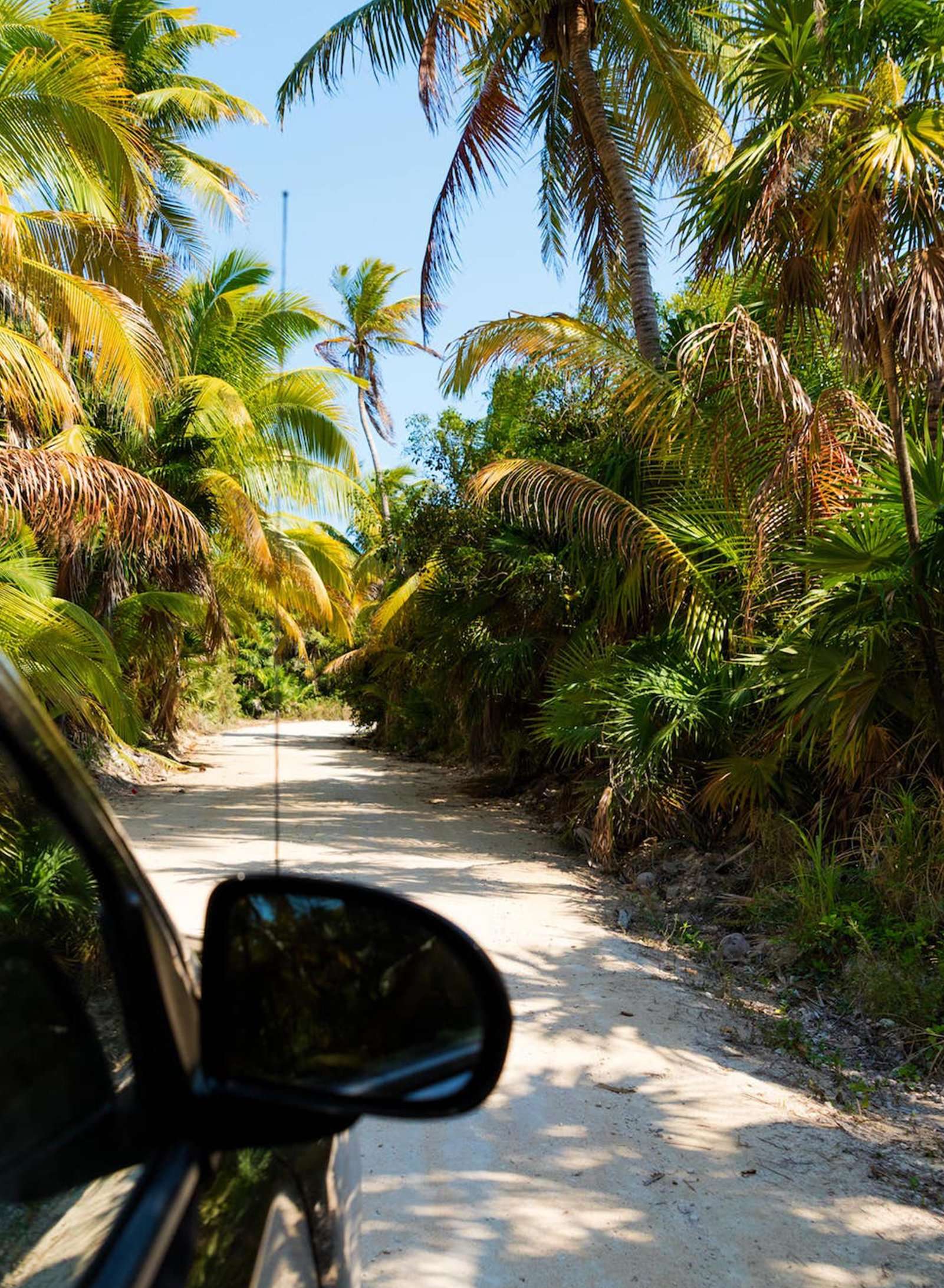 The Ultimate Tulum Travel Guide: Secrets of the Riviera Maya Unveiled 5 Driving through the jungle in the Sian Kaan reserve Quintana Roo Mexico Resize