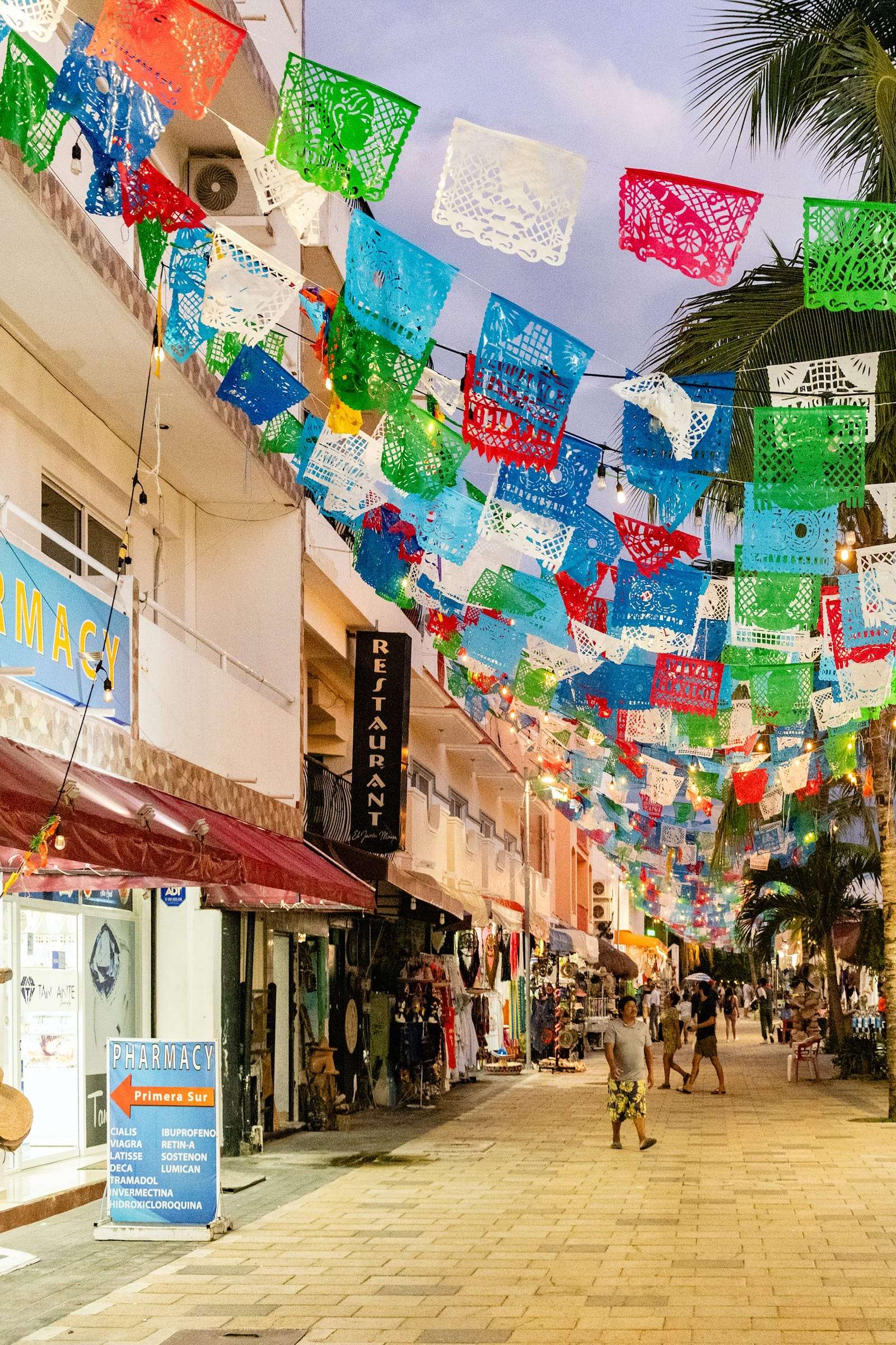 Planning Your Getaway: The Best Guide to Traveling in Playa del Carmen 2 Flags Decorating Street in Playa del Carmen Mexico resized min