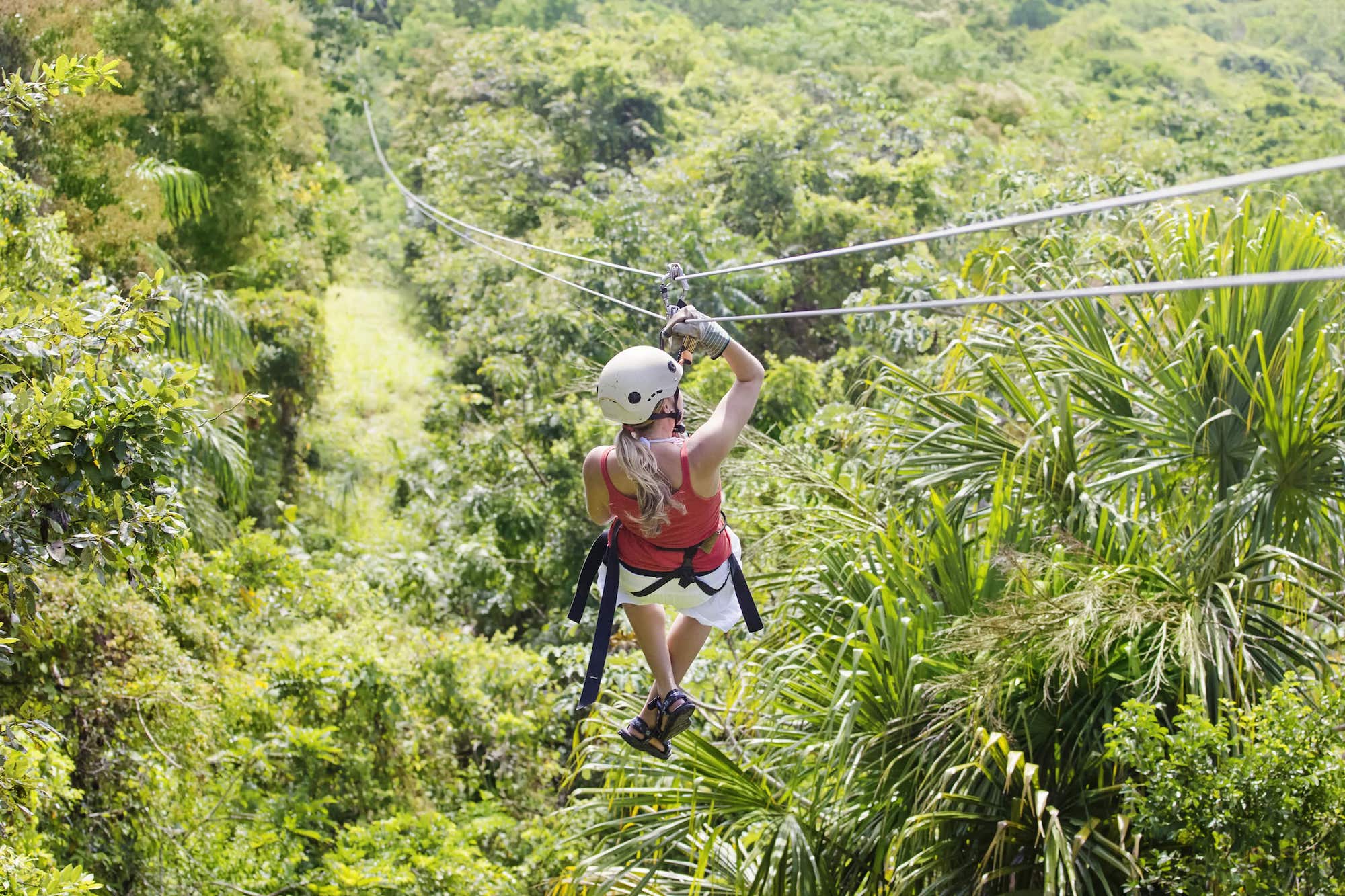 Jungle Zipline