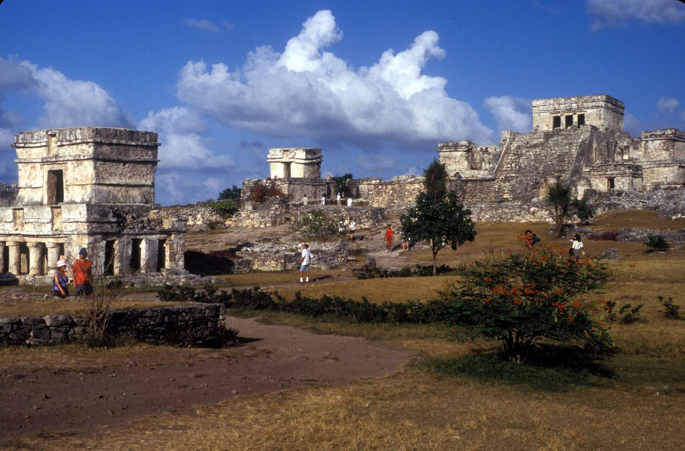 The Hidden Gem Between Tulum and Playa Del Carmen: A Complete Traveler's Guide to Akumal 5 Ruins in Tulum