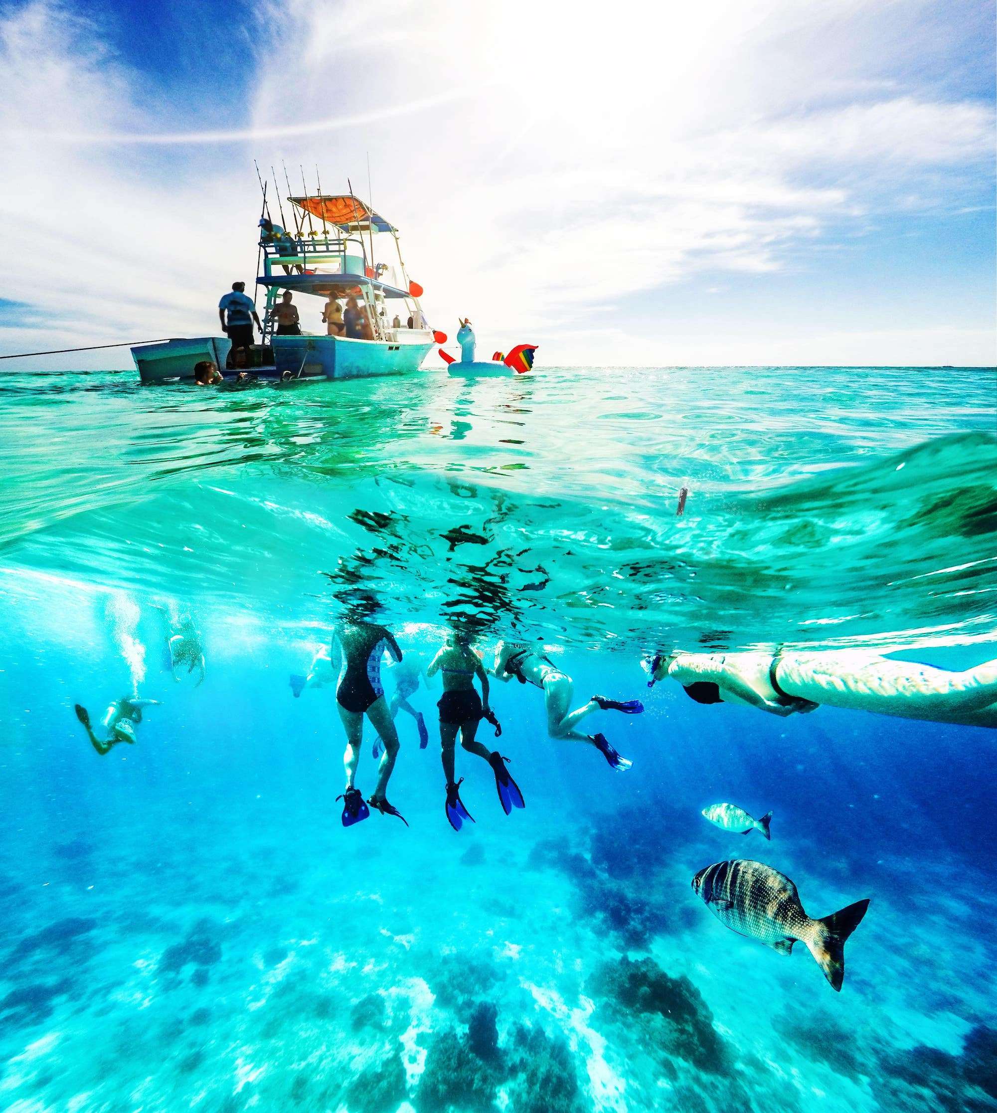 Scuba