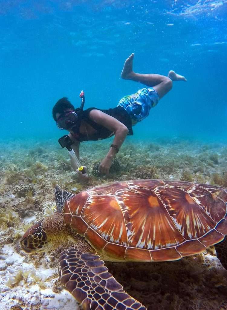 The Hidden Gem Between Tulum and Playa Del Carmen: A Complete Traveler's Guide to Akumal 8 Sea Turtle and Snorkeler min copy min