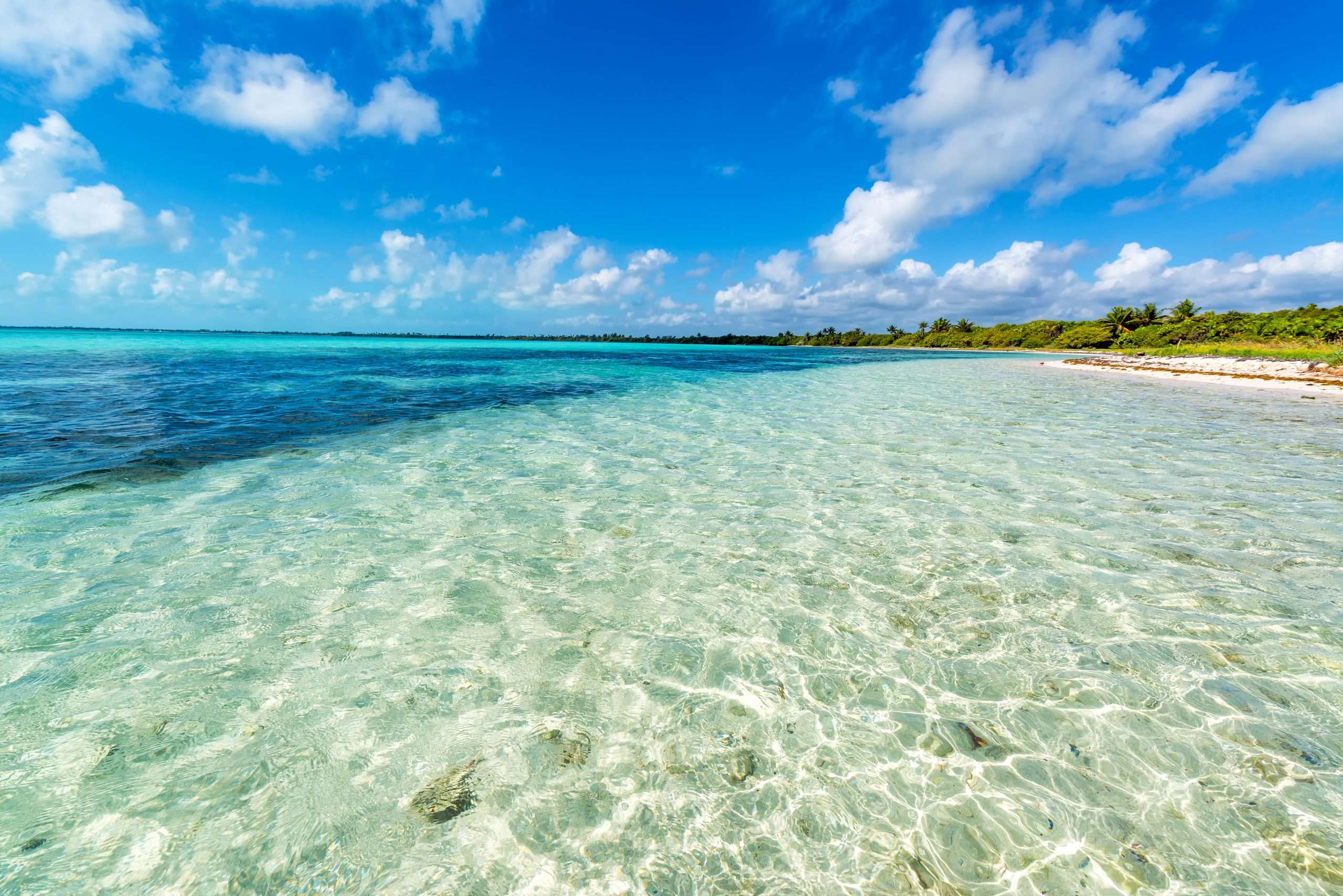 Family Fun in the Sun: Top Playa del Carmen Activities for All Ages 2 Beautiful Caribbean Sea