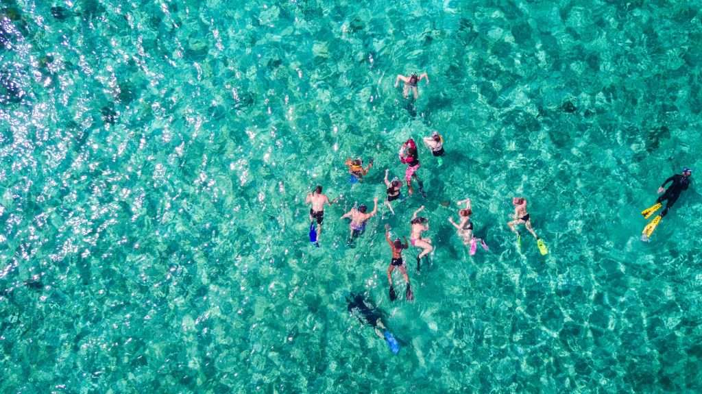 Akumal's Underwater World: A Snorkeler's Paradise 1 Snorkeling Group from Above min