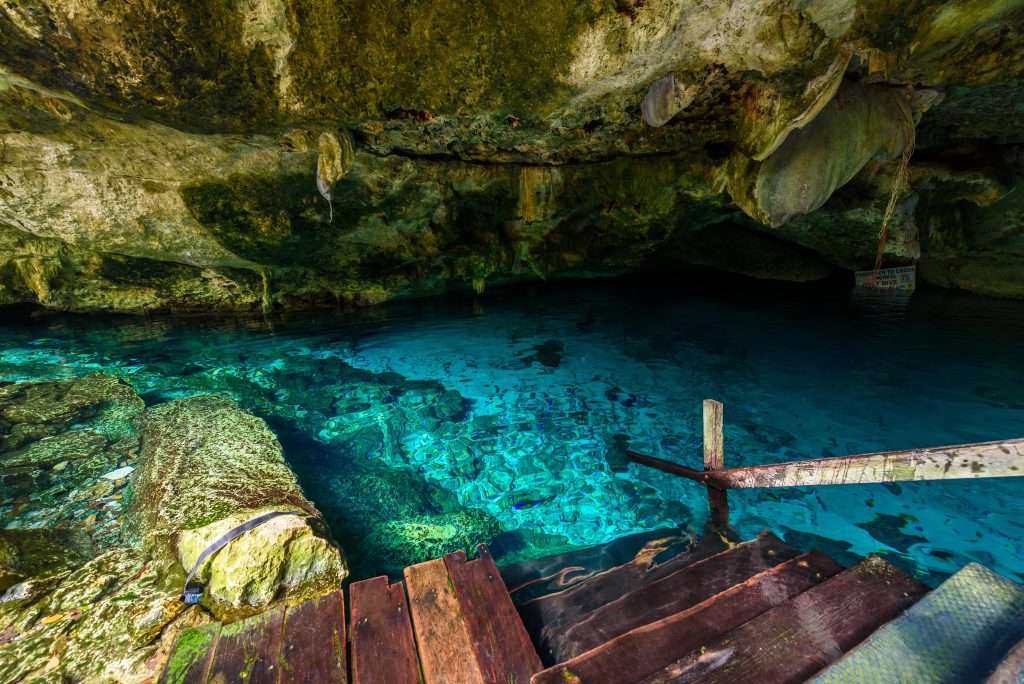 Cenotes of Tulum: Nature's Majestic Swimming Holes 2 Steps into cenote