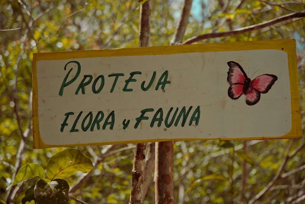 Cenotes of Tulum: Nature's Majestic Swimming Holes 3 Wildlife sign