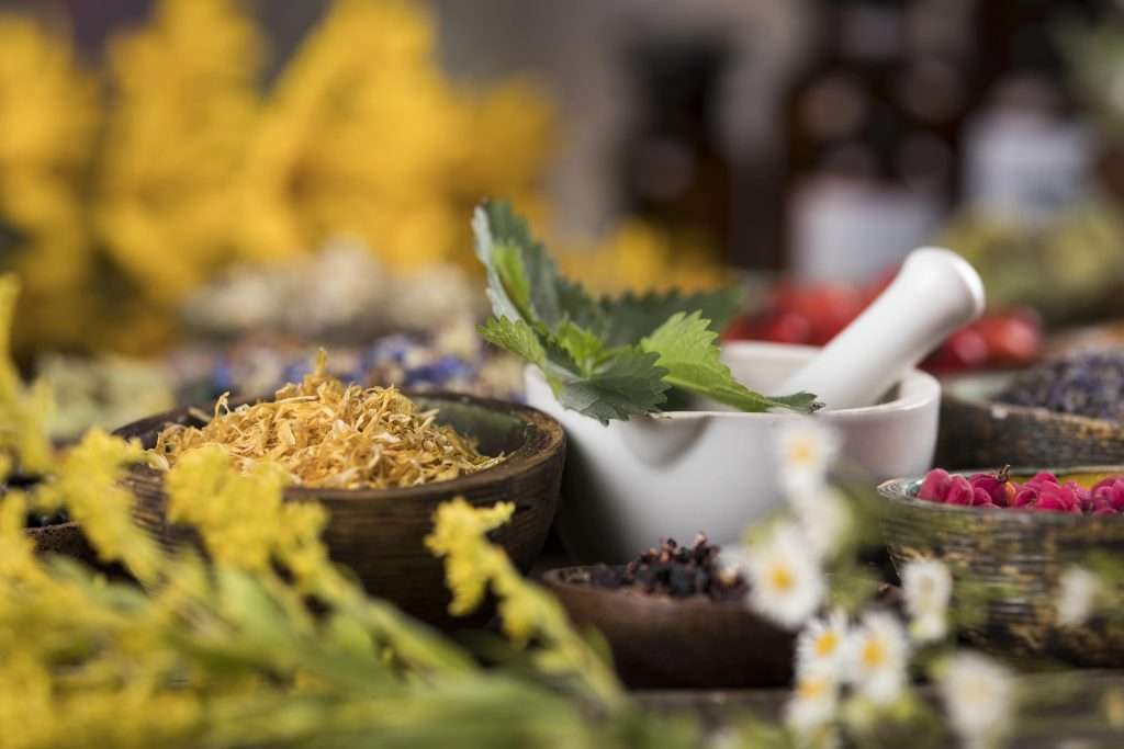Herbal Ingredients Display