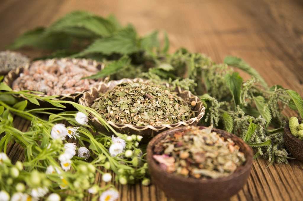 Tulum's Cultural Tapestry: An Immersive Experience 3 Herbal Ingredients On Wooden Table