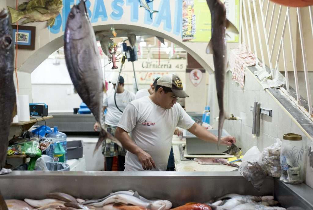 Fish market Spring