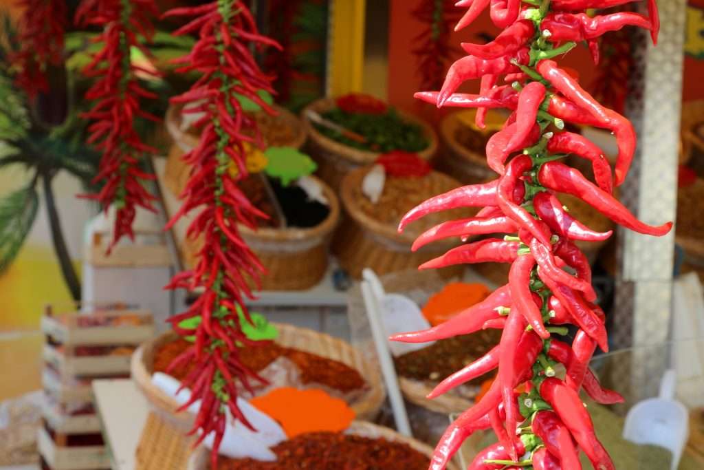 Beyond 5th Avenue: Hidden Shopping Spots in Playa del Carmen 3 Hanging dried chilis