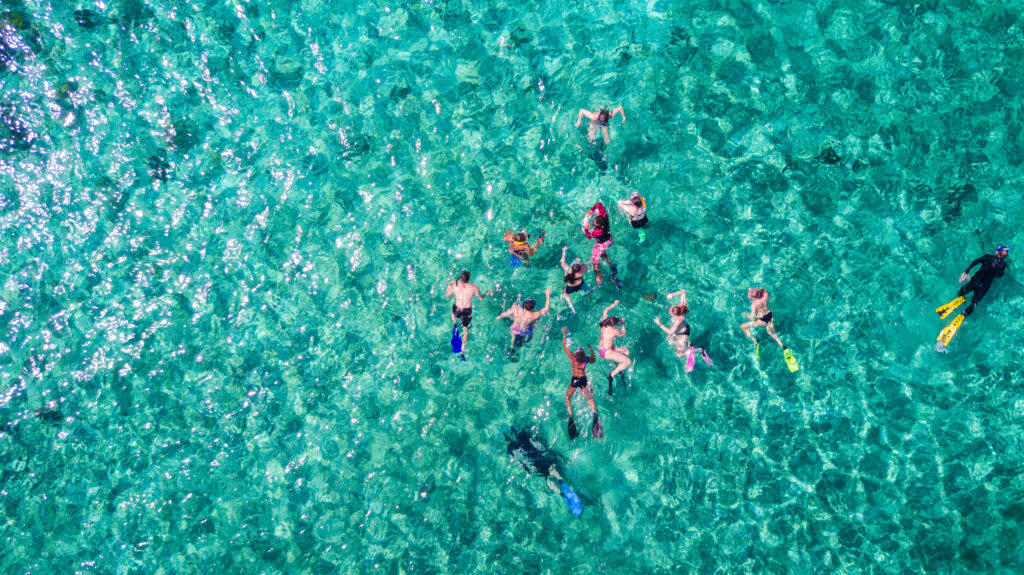 Snorkeling Group from Above