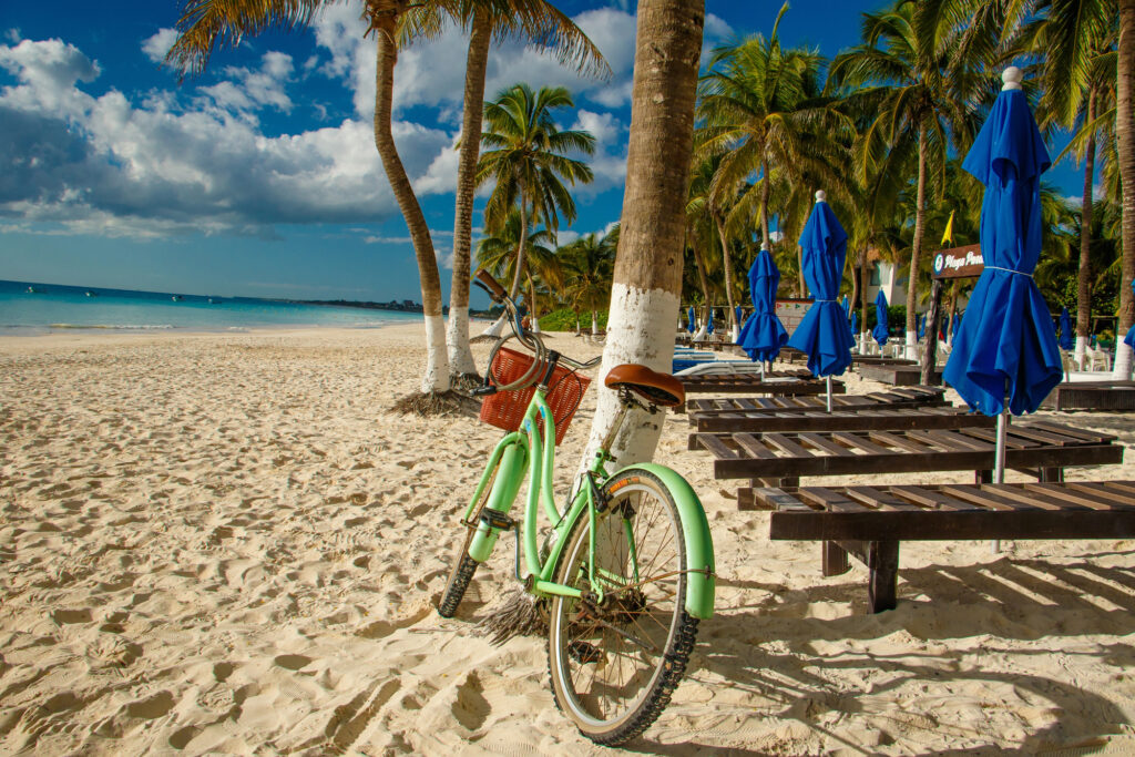Tropical Beach With Bicycle